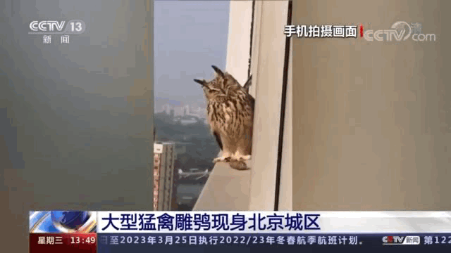 b2e31f5ebca65359ca222a67cc5be51d_640_wx_fmt=gif&wxfrom=5&wx_lazy=1.gif