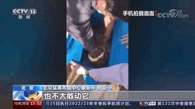 392794e449720f9a05f229570a769d9a_640_wx_fmt=gif&wxfrom=5&wx_lazy=1.gif