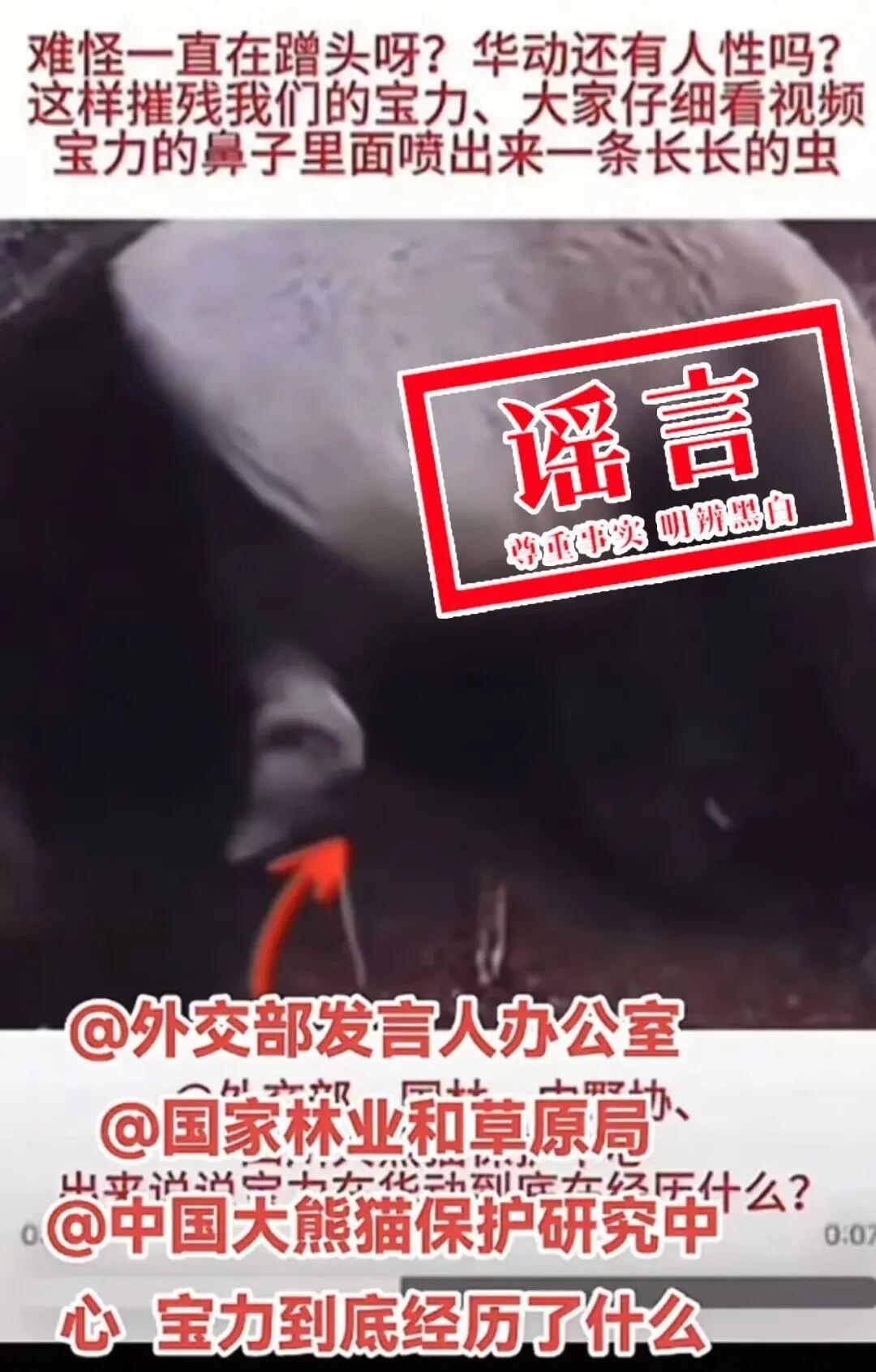 图源“中国大熊猫保护研究中心”微信公众号 2.jfif