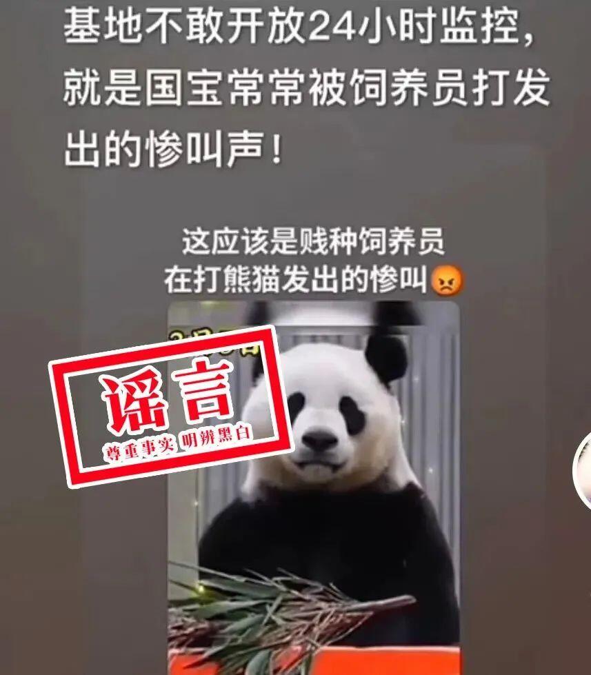 图源“中国大熊猫保护研究中心”微信公众号 4.jfif