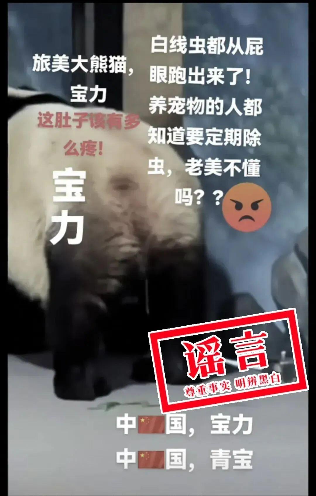 图源“中国大熊猫保护研究中心”微信公众号 3.jfif