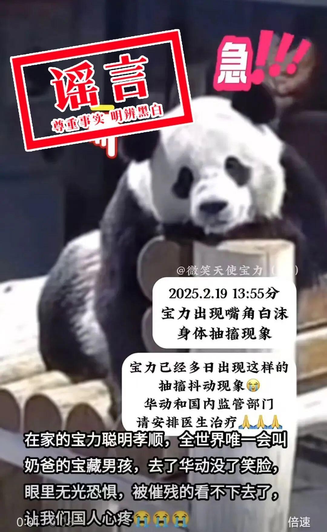 图源“中国大熊猫保护研究中心”微信公众号 1.jfif