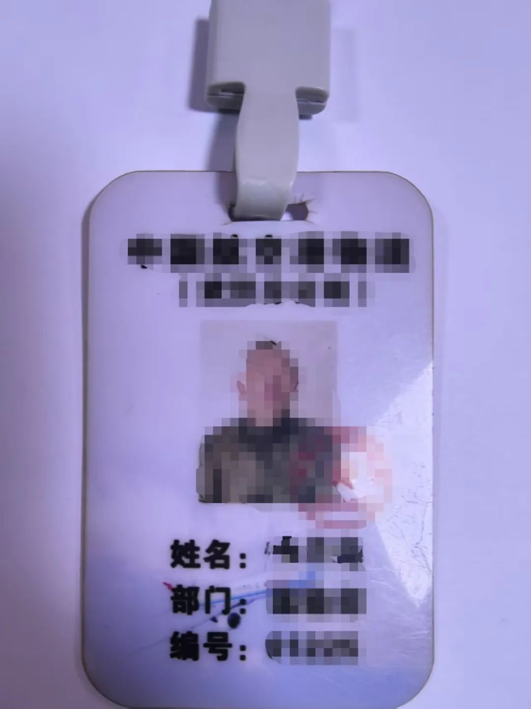虚假工作证件 图片