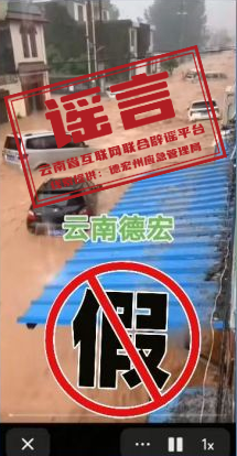 图一:网民发布的不实视频截图