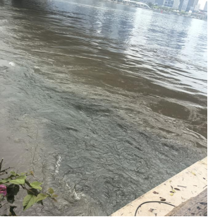 珠江有净水厂“偷排污水”？真相是→(2)