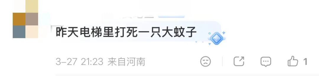 今年蚊子可能迎来“史诗级”加强？中疾控提醒！(4)