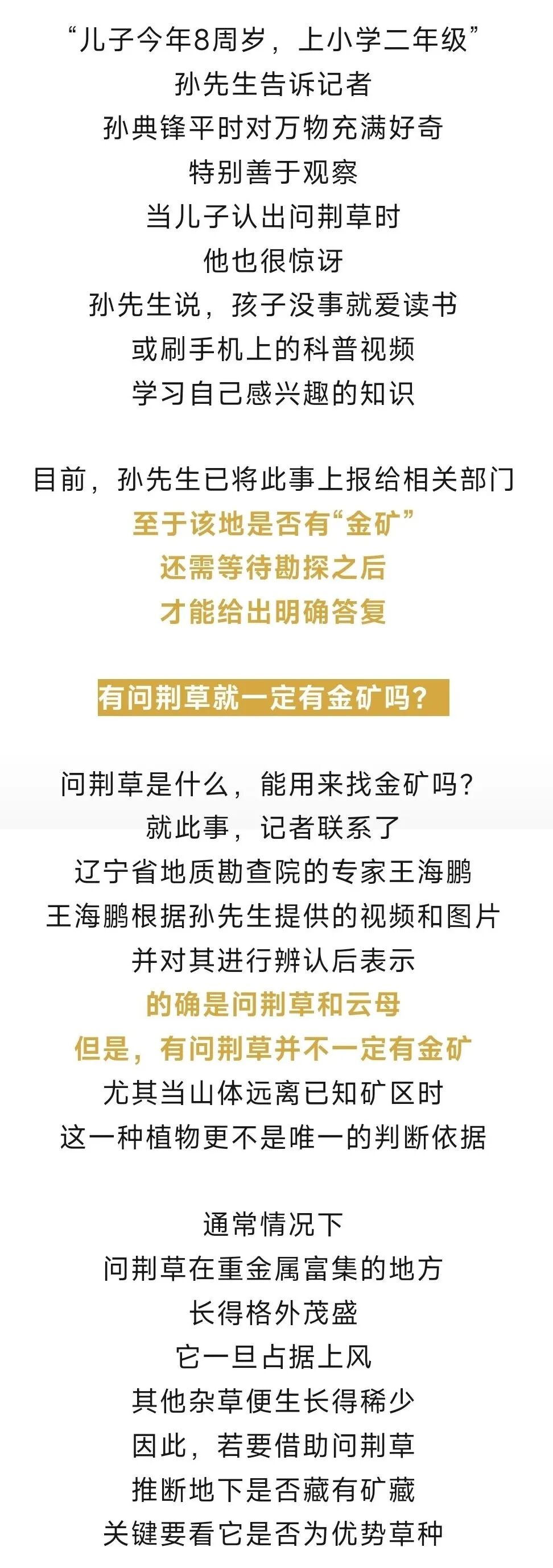 8岁男孩凭草辨矿？专家回应(1)