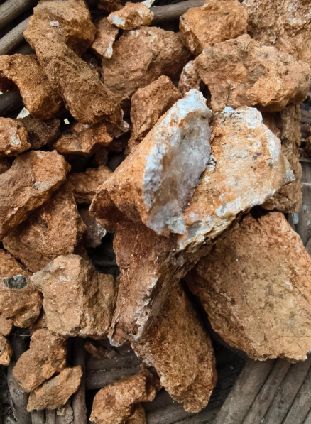 “爸爸，这座山下有黄金……”8岁男孩凭草辨矿？(4)