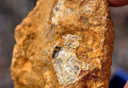 “爸爸，这座山下有黄金……”8岁男孩凭草辨矿？(2)