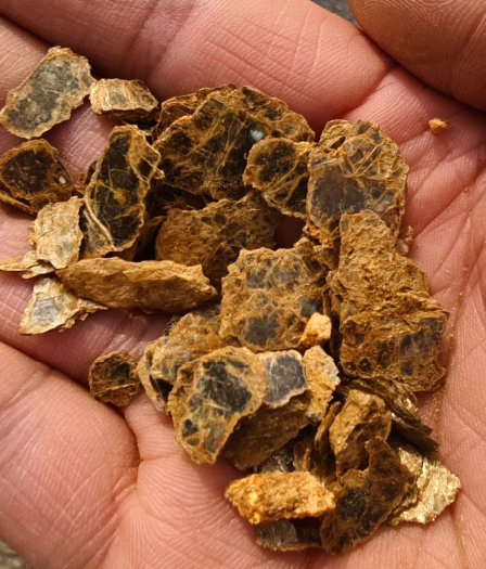 “爸爸，这座山下有黄金……”8岁男孩凭草辨矿？(3)