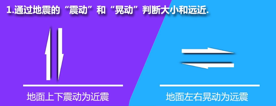 供图:陈虹