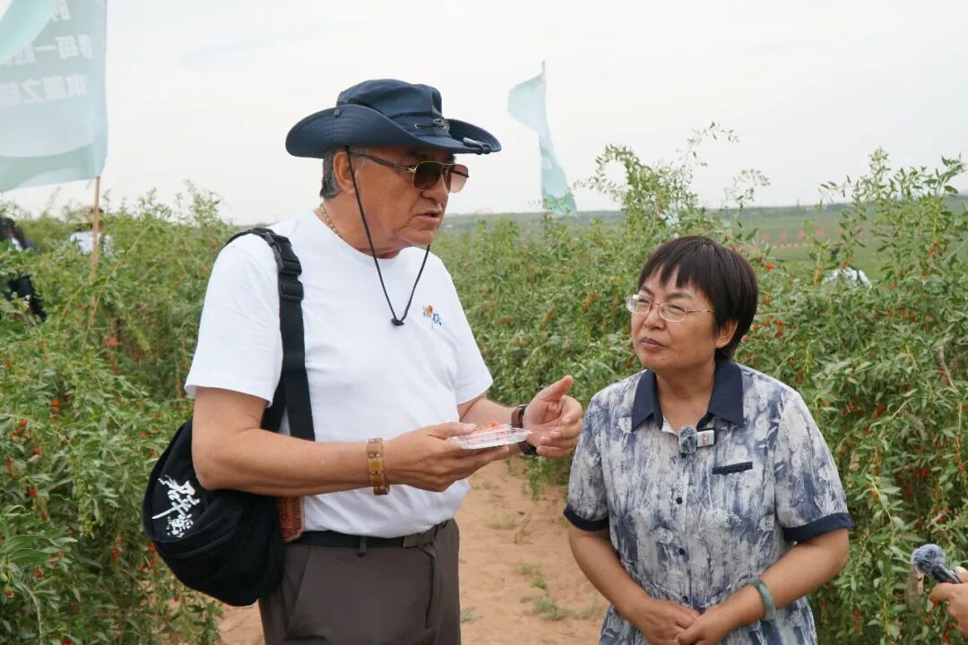 求真之旅 |“辟谣侠”走进万亩枸杞基地 实地溯源击碎“中宁枸杞”网络谣言