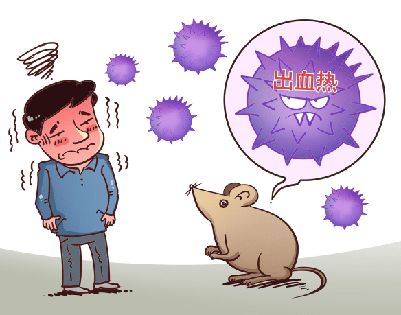 台风“白海豚”登陆沿海 为啥千里之外的北京被暴雨刷屏?(3) 台风“白海豚”登陆沿海 为啥千里之外的北京被暴雨刷屏?(3)